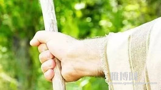 ��ɫ��ʮ���ӵ�ף����Ԥ��