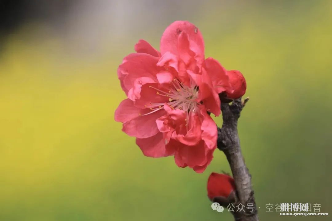 �ҽ��ճ��˺ε���?