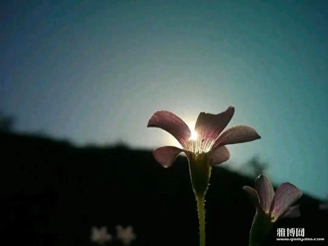 �Ⱥ��밮��