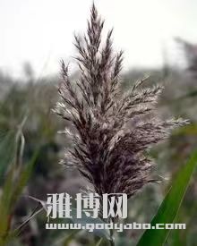 ʲô�в������ߵ��£�