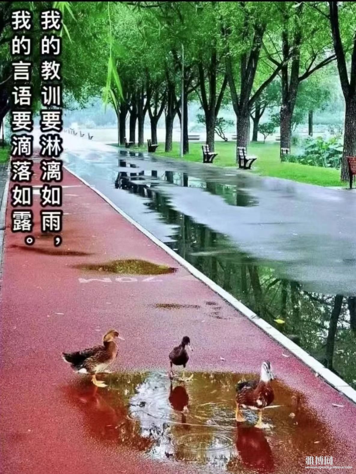 ѧ�῿����û�˻����㵽��
