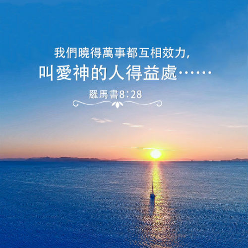 �����ľ�����Ҳ������������