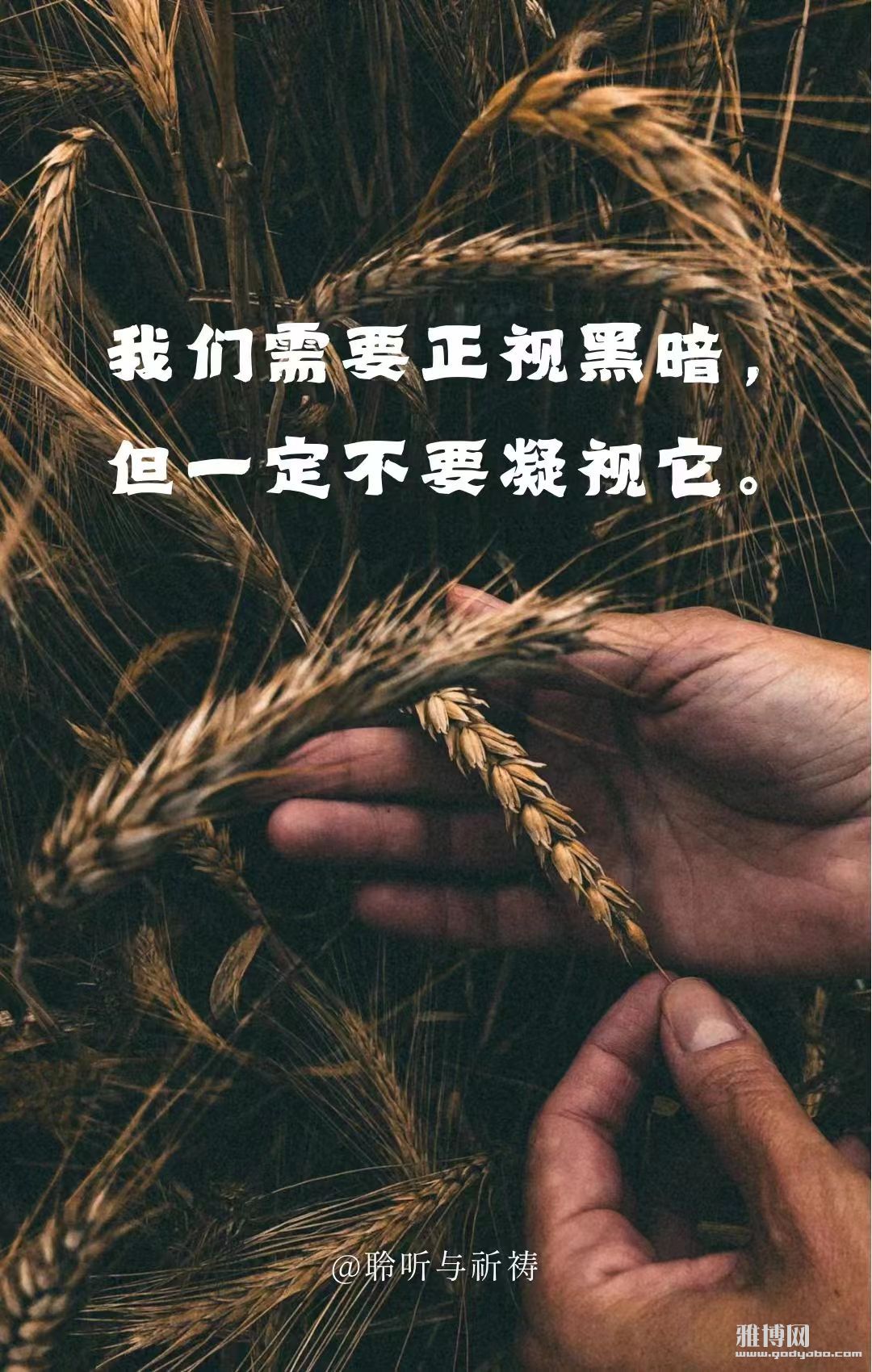 �Ǹ����̴�