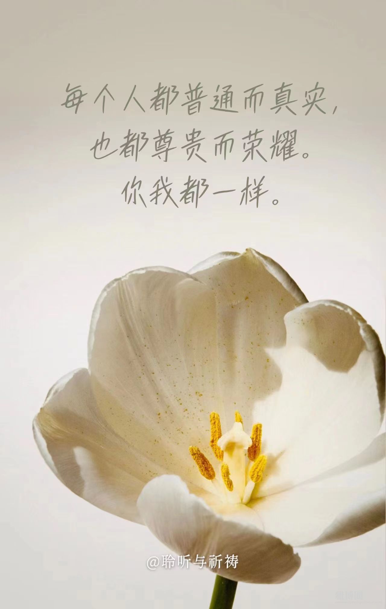 û�������Ϊ��һ��Ĵ���