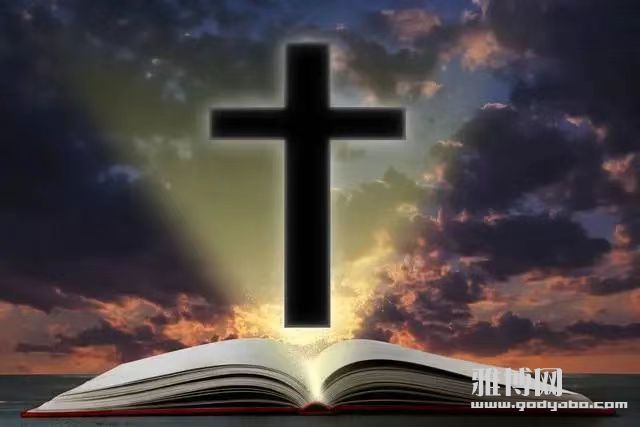 �ܶ����ڲμӾۻ��ʱ���������ȱϯ