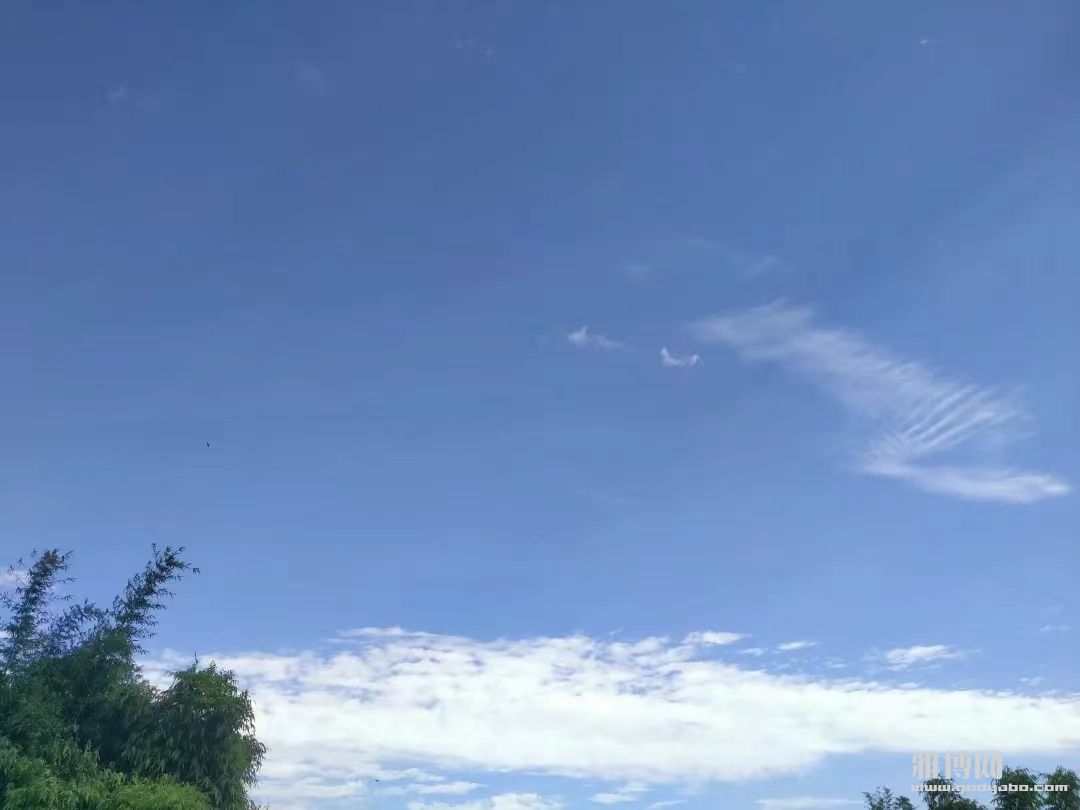΢��ͼƬ_20240702211023.jpg
