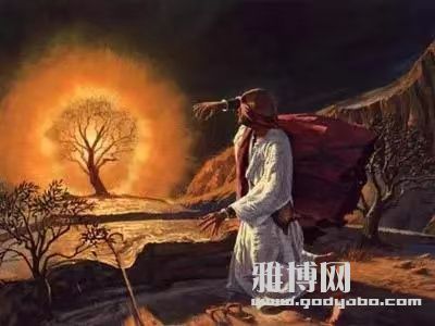 Ӧ�ÿ��ϵ�-���ڿ�ʲô���ģ�