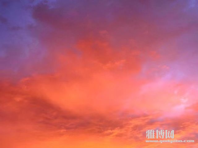 ΢��ͼƬ_20240709203108.jpg