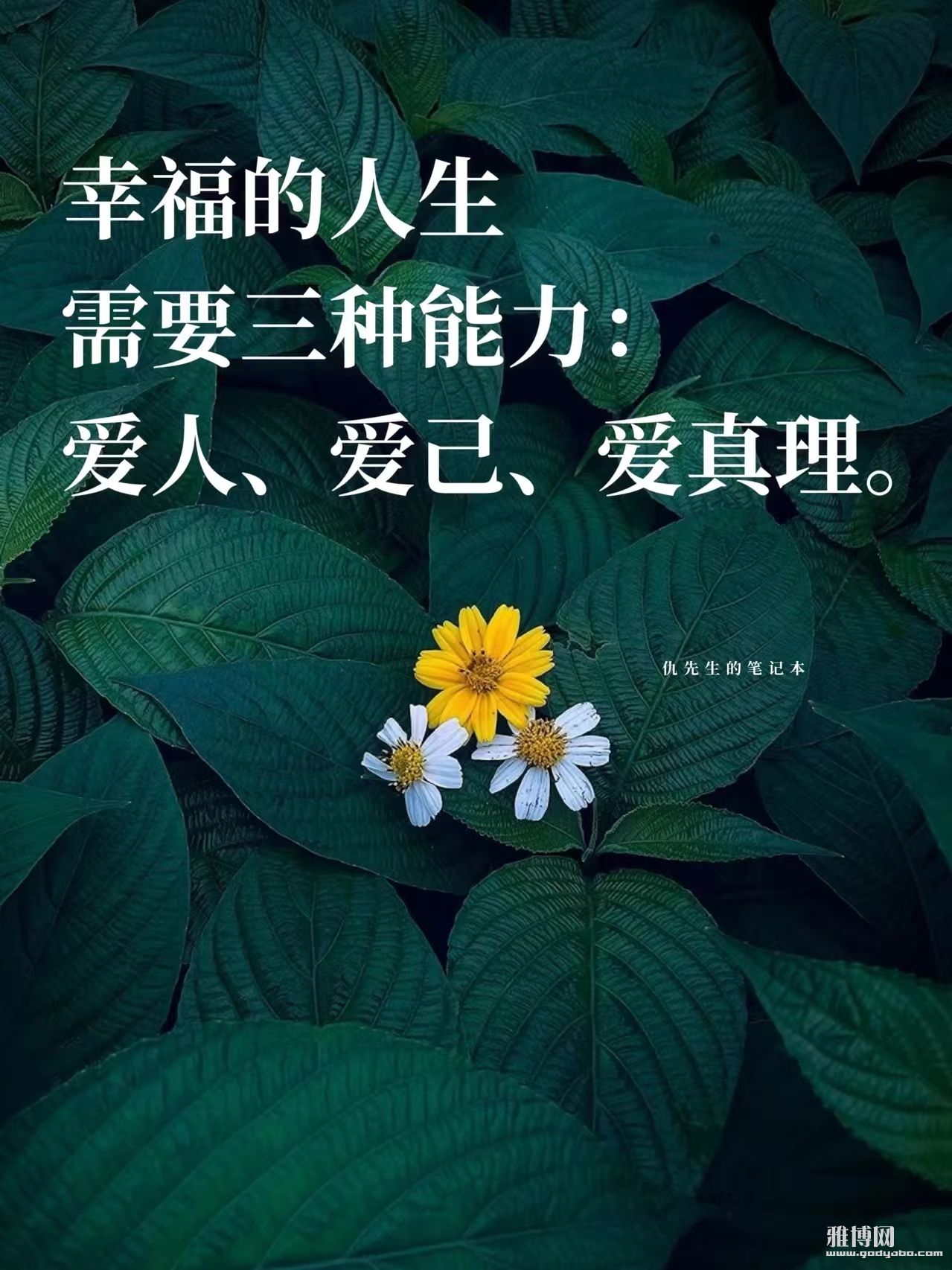 ������Ϊʲô�����ò��ã�