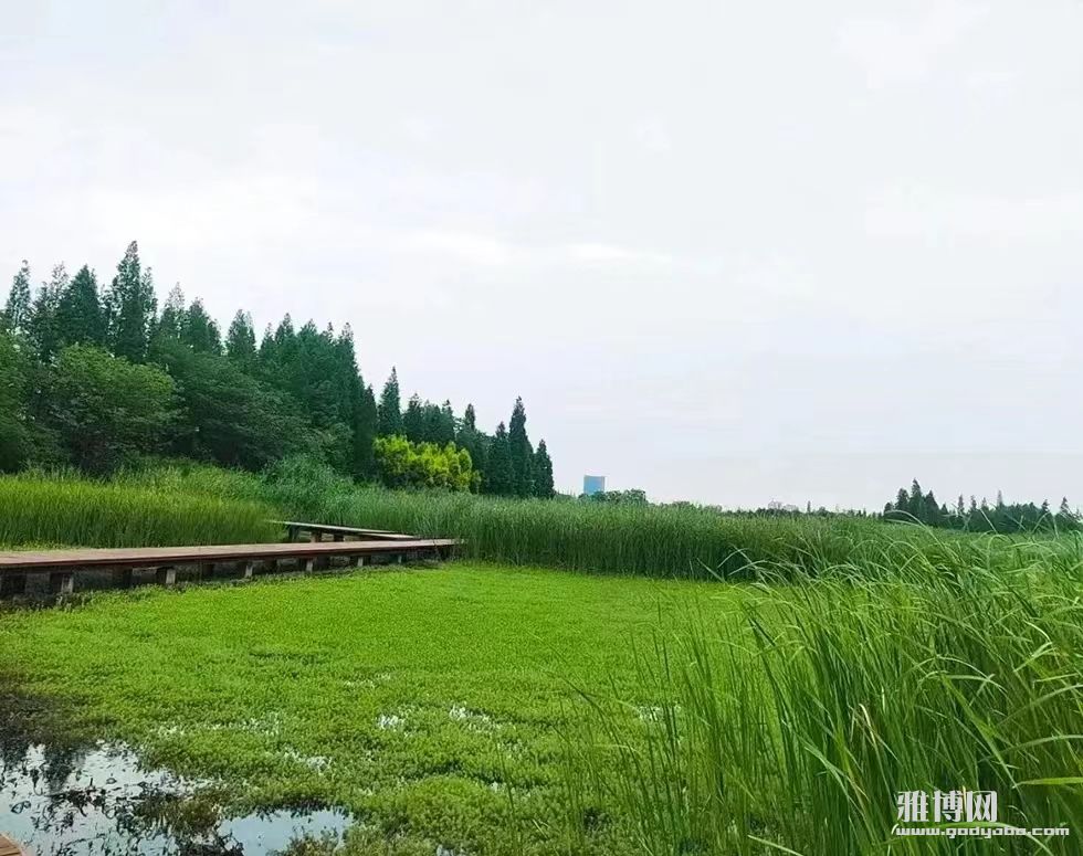 ΢��ͼƬ_20240702211035.jpg