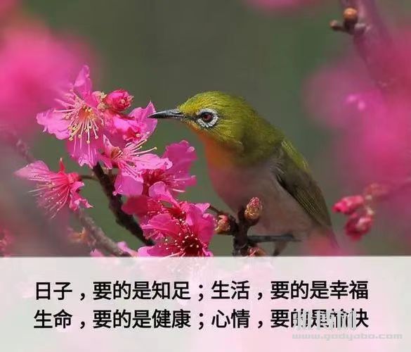 �Ȳ�ƶ�Ҳ����ԣ������ף��