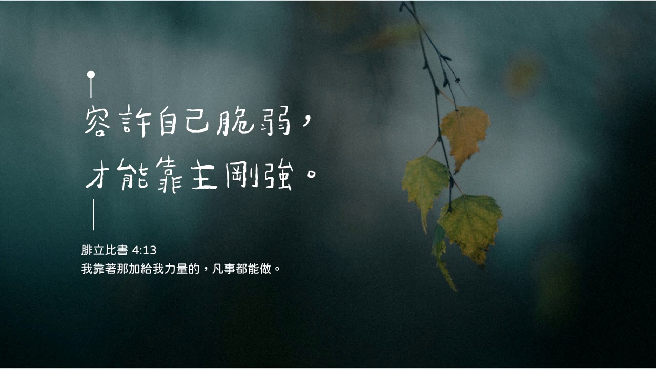 ������ǿ������ӭս