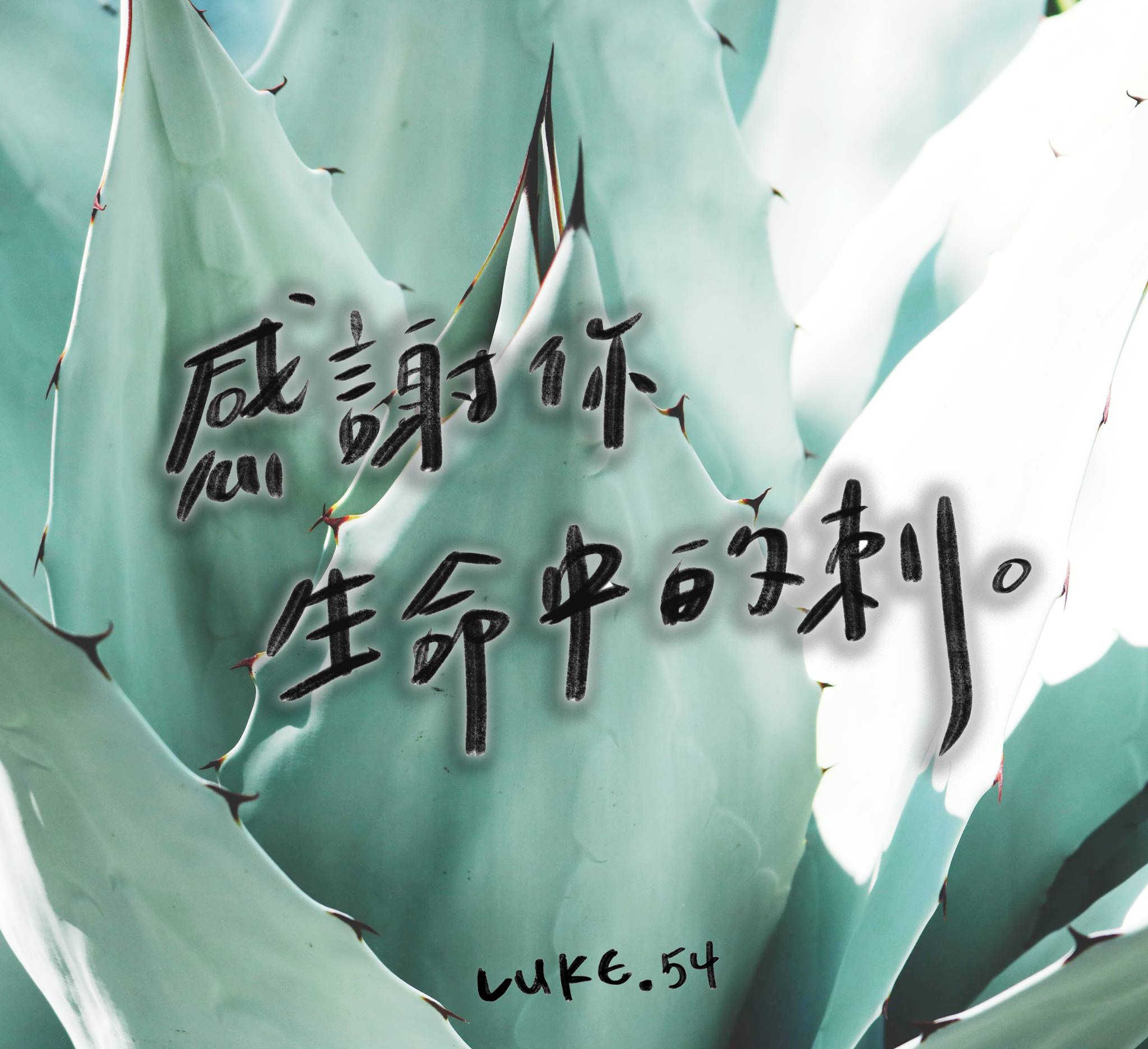 ��Լ�еĴ�