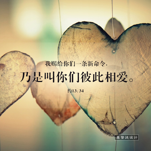 c956b1ff3cae2ccdc271b50a8bebe105.jpg