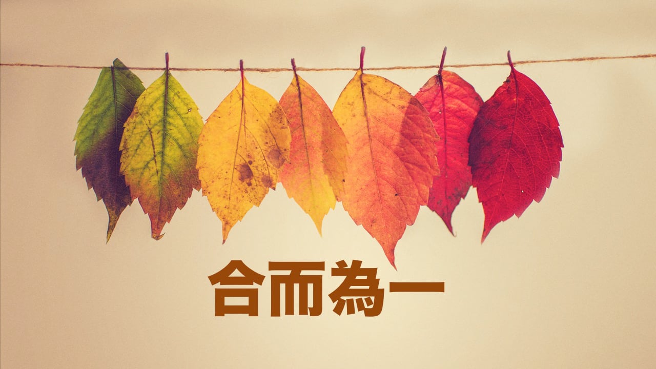 �ٱ�����֮ѹ�ᵻ�� ���϶�Ϊһ��