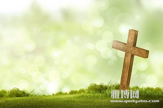 ����һ�зָ����˵�ʩ���
