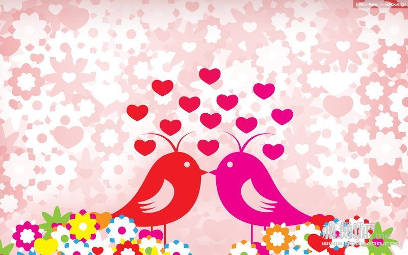 �Ÿ� �ڰ���     �����������İ���������Ϩ���