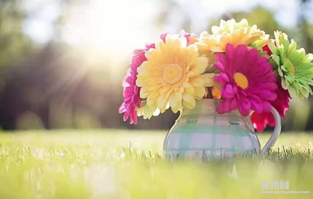 �����ر��ף��
