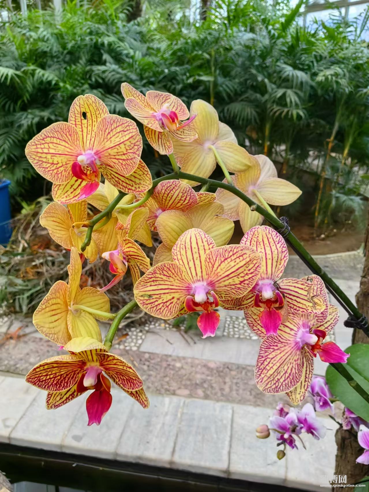 �����ڱ��˵�������