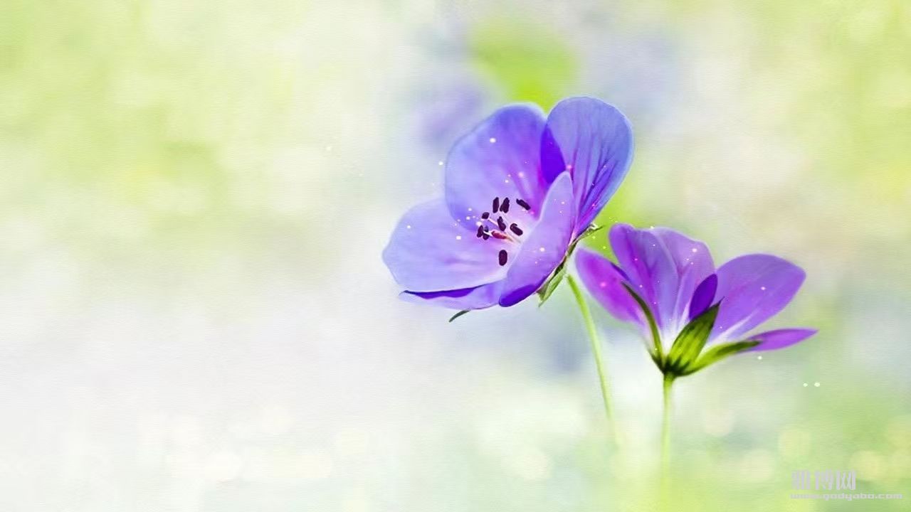 �����ˡ�ϸ����������и��ˣ�