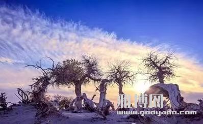΢��ͼƬ_20241103201904.jpg