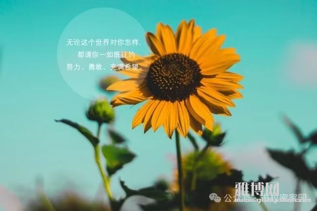 ΢��ͼƬ_20241103201831.jpg
