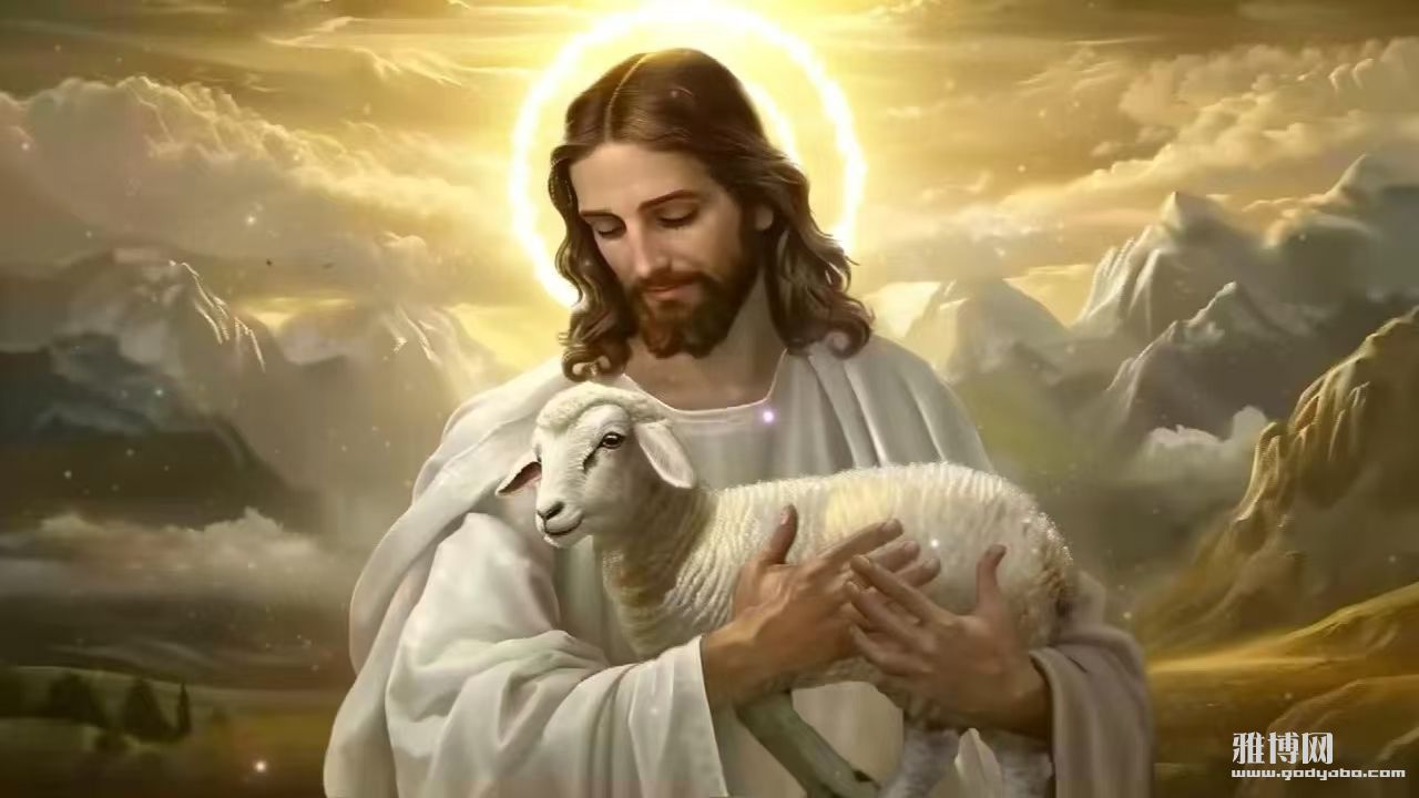 �����ﻹ�ж��ٲ���˵�����ܣ�