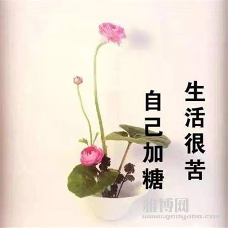 ��ˡ���ˣ���ô�죿