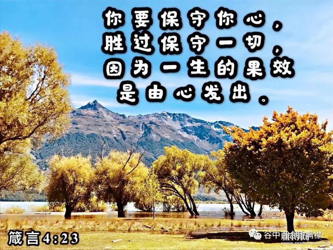 Զ���˼��Ƿǣ��������ᰲ��