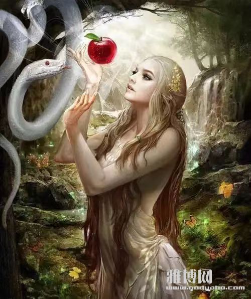 ֪ʶ���Ĺ���Ϊ�ο��£�����һ���ͻ�������