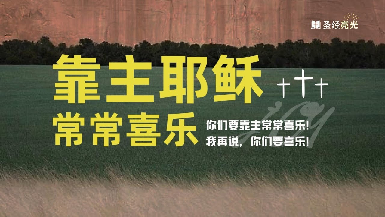 �������飺����ϲ��