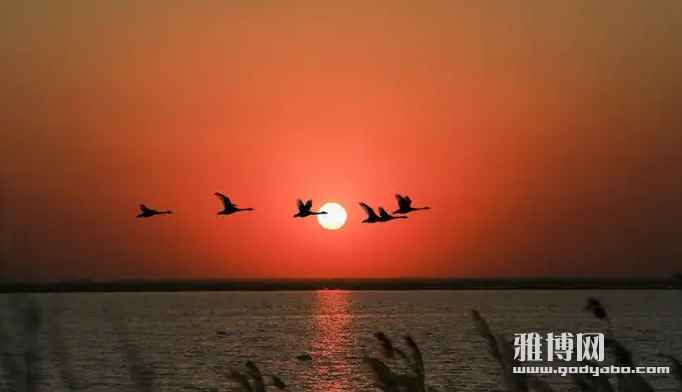 �ӻ����˵���ƭ��̸�����Ӵ�Զ���Ŀ���