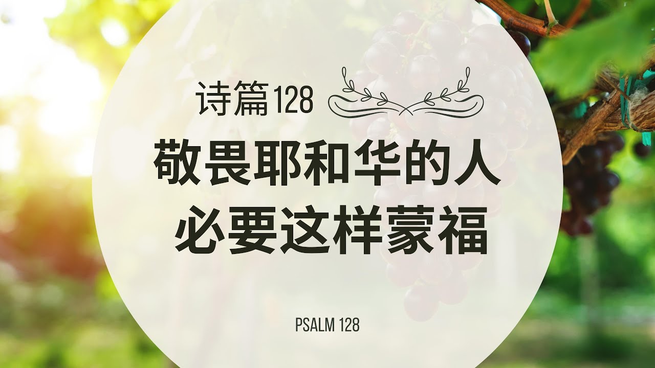 ʫƪϵ��7: ʫƪ128 ��ѧVSʥ��