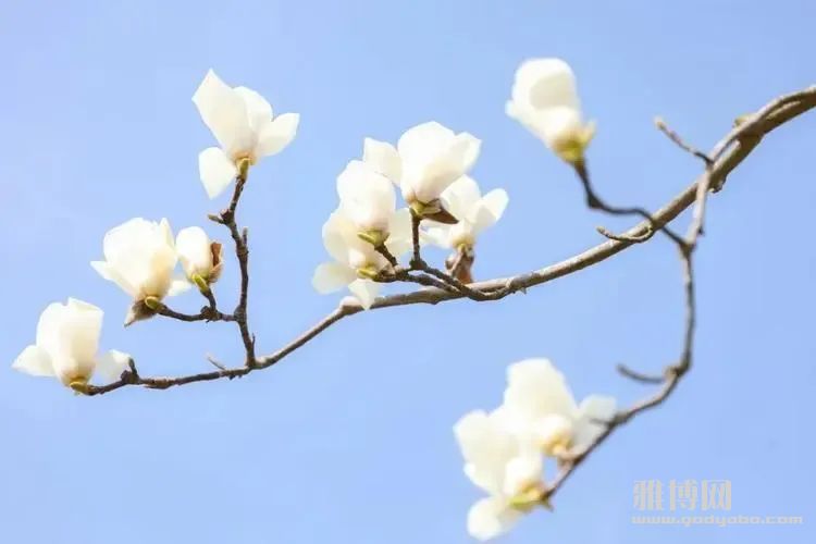 ֪�����˽���ȥ�����������価������
