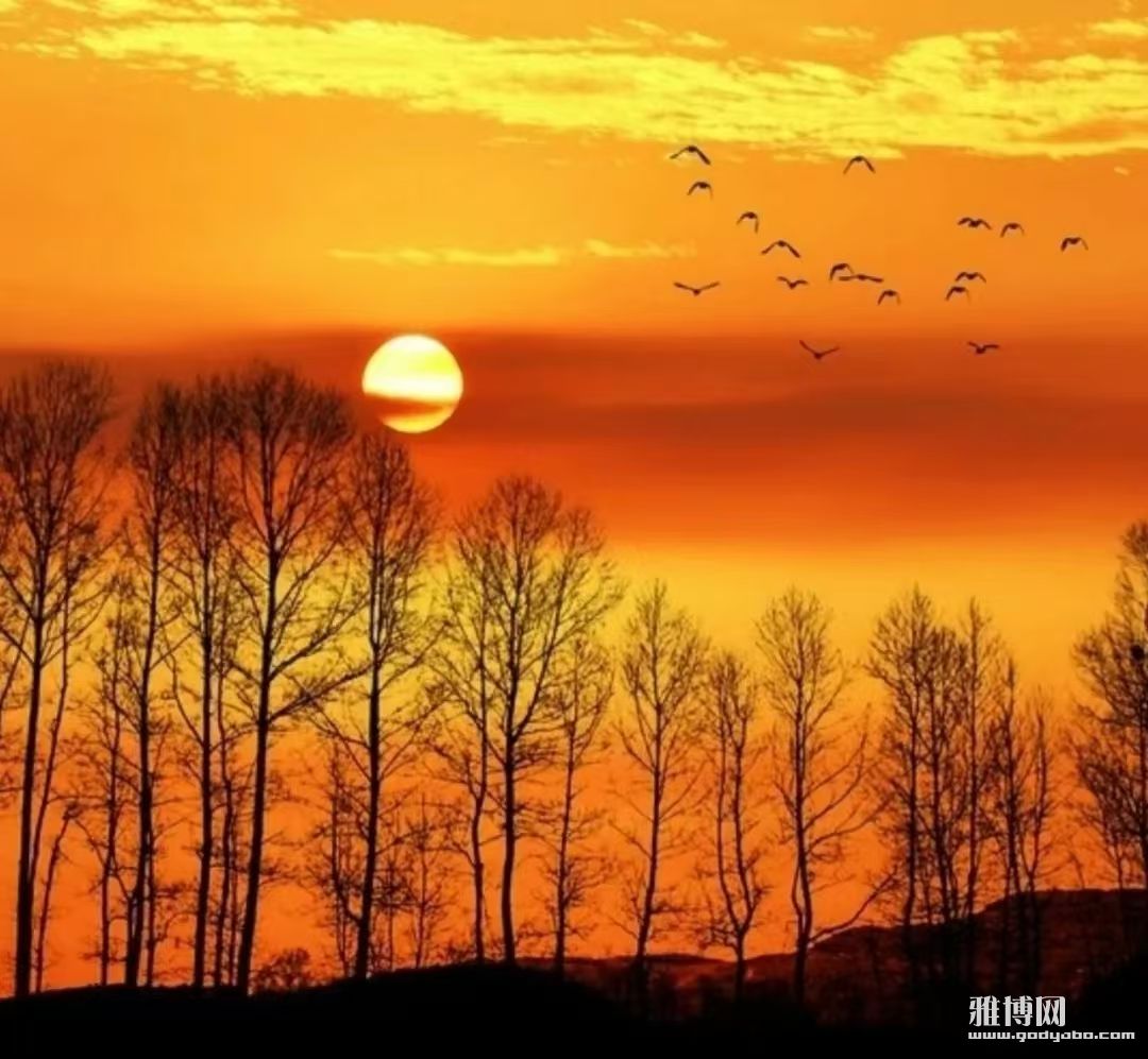 ���³�ס�������úø�����