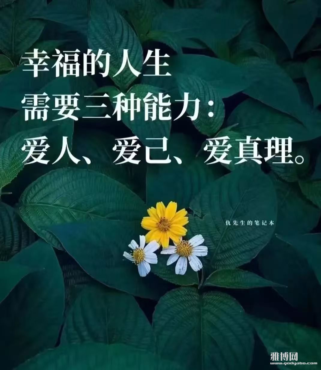 ΢��ͼƬ_20250212051211.jpg