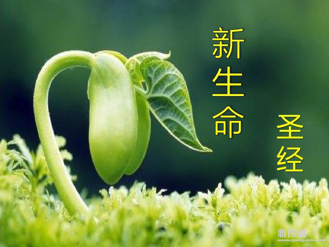�ӡ��ź�����������