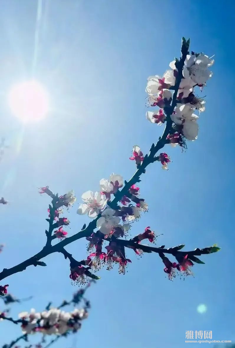 ���׵����ȷ�ѿ������