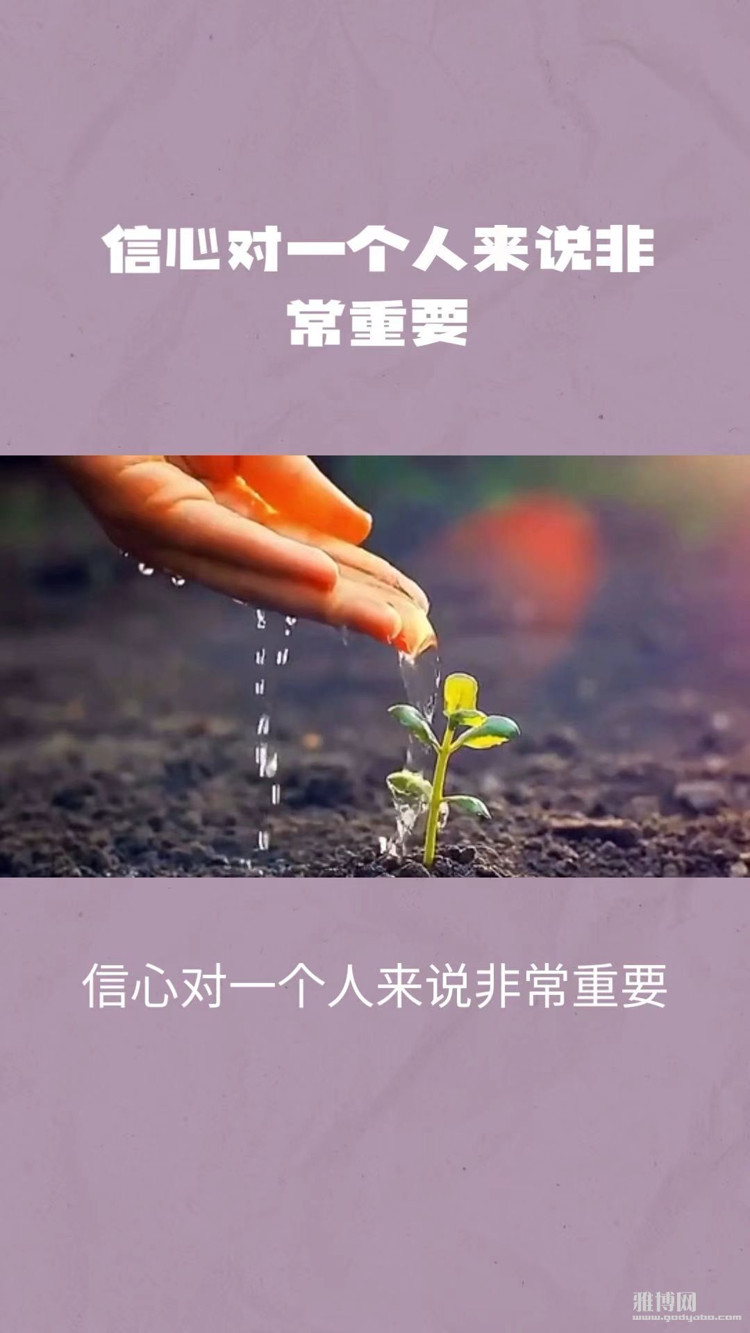 微信图片_20250423142452.jpg