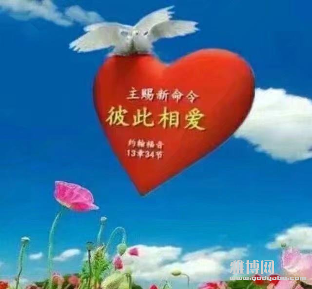 �����еĵ�ʤ��