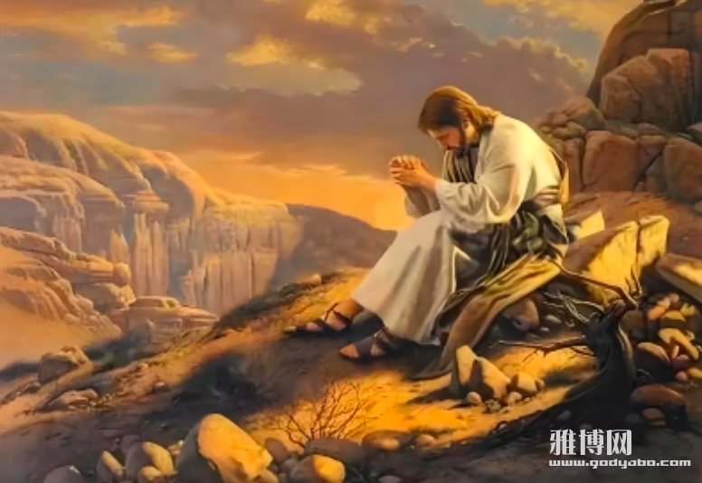 ����2025-04-12 15.32.52.png