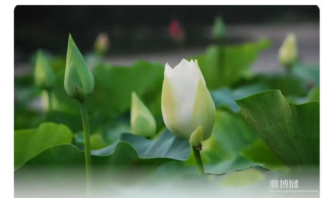 �Կ��˵��߸�����