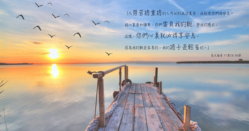 ���ǵ����ҵ���