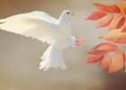 �˼�һ�С����Ȩ��������Ҫ������˳������