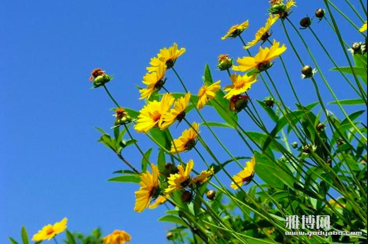 ����2025-09-05 12.57.32.png