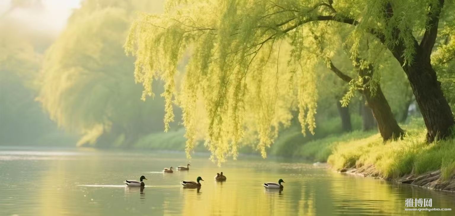 ��Ҫ��Ӳ����������ڵk����