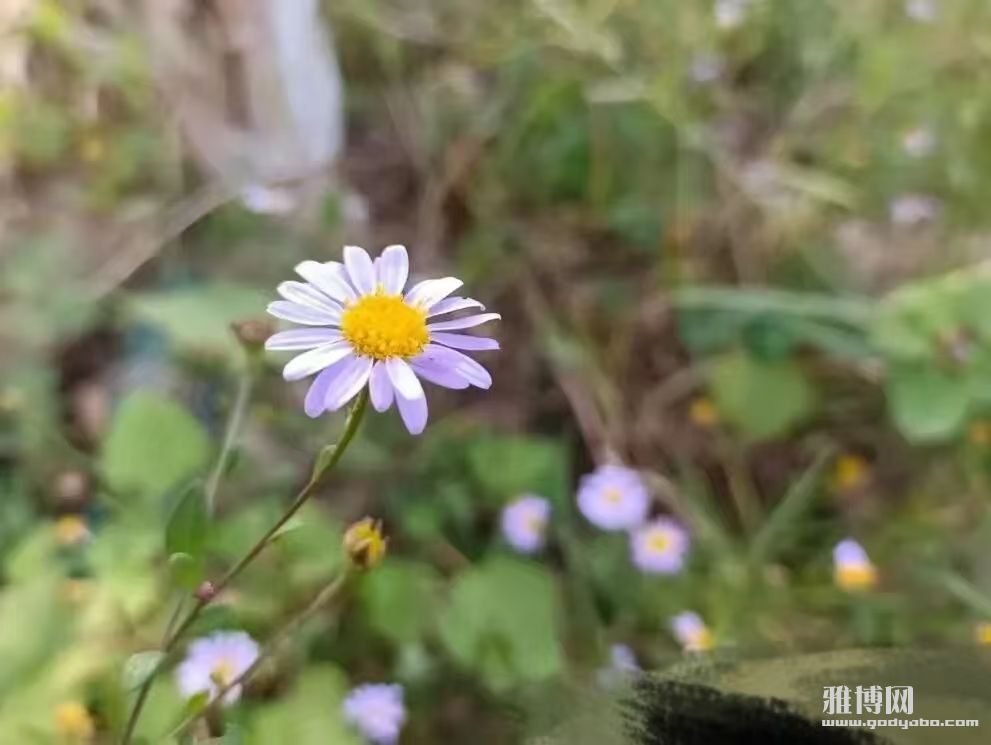 Ϊ�Լ�����