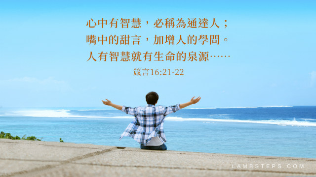 �ǻ����� �����ԣ���19�����ǻ۵ĺ���