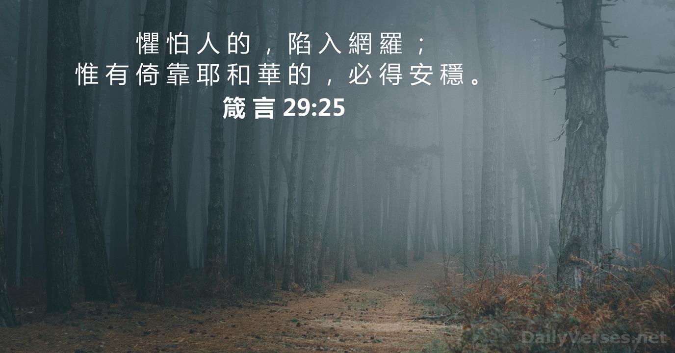 �����ǣ��һ������˰�