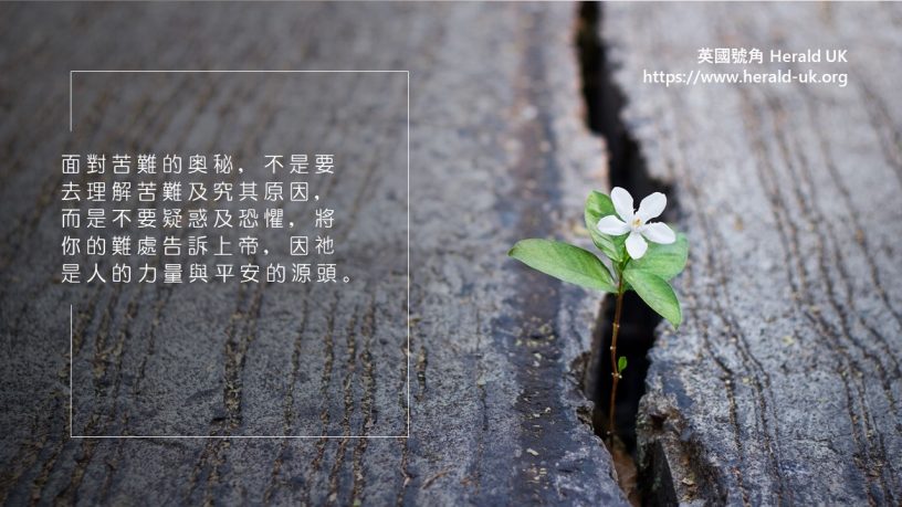 �Ÿ������µ�Ҫ�������ұ������ȥ